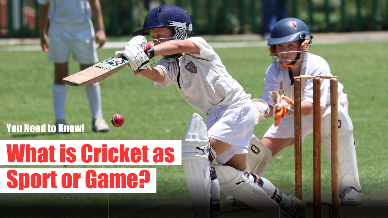 What is Cricket?